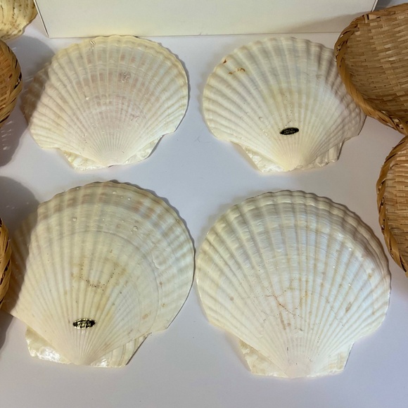 VTG Seafood for 4 shells scallop set rattan coasters forks for 4 - Picture 6 of 8